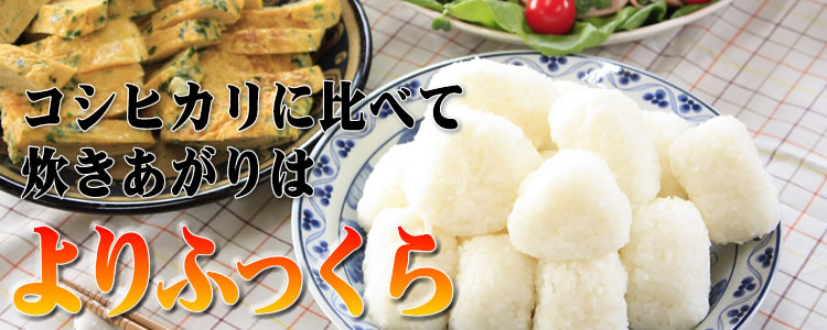 iku04.jpg